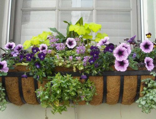 Painting & Flower Grants for Businesses